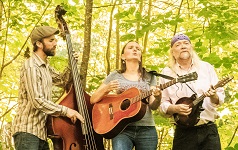 picture of Heather Pearson Acoustic Trio